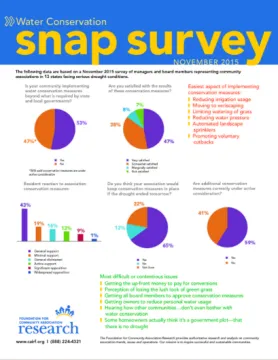 Miniatura Snap Surveys