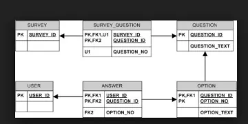 Miniatura WebMentor Skills