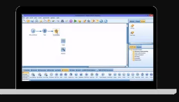 Miniatura IBM SPSS