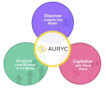 Miniatura Auryc Software BI